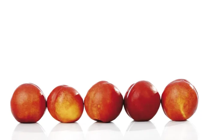 Stampa con cornice : Nectarines Stampa con cornice : Nectarines