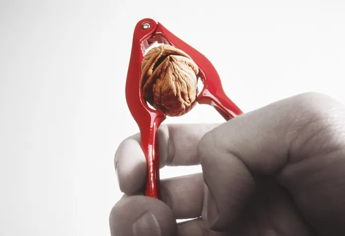 Stampa con cornice : Cracker di noci Stampa con cornice : Cracker di noci