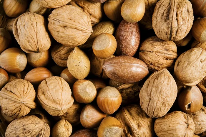 Stampa con cornice : Nuts
