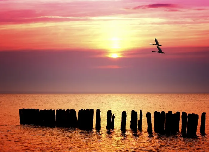 Stampa con cornice : Tramonto di mare. Stampa con cornice : Tramonto di mare.