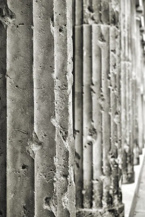 Stampa con cornice : Stampa con cornice :