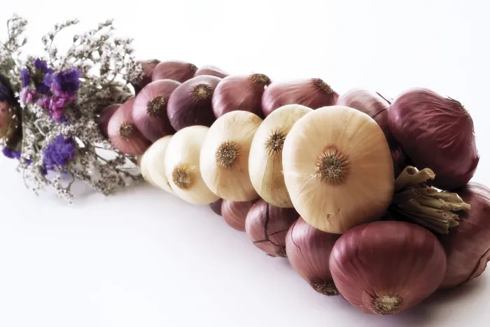 Stampa con cornice : Onions Stampa con cornice : Onions
