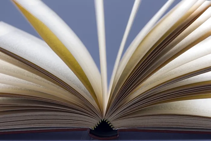 Stampa con cornice : Un libro aperto Stampa con cornice : Un libro aperto