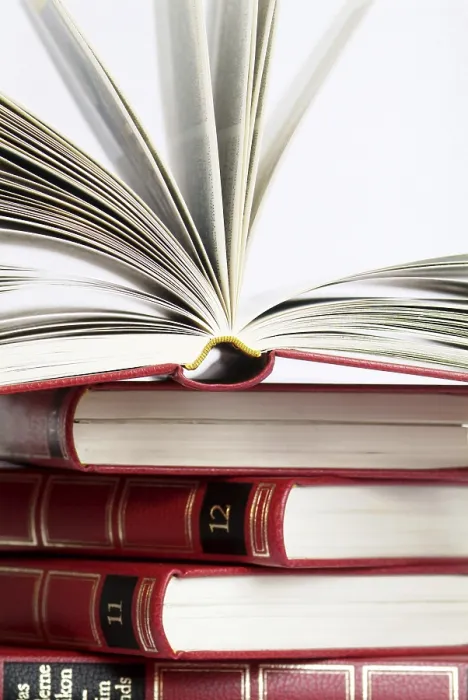 Stampa con cornice : Open Lexicon