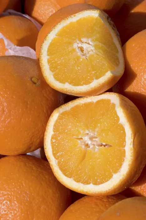 Stampa con cornice : Oranges Stampa con cornice : Oranges