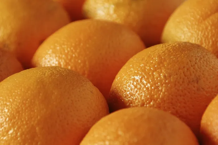 Stampa con cornice : Oranges Stampa con cornice : Oranges