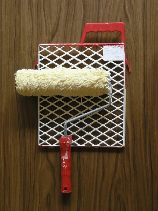 Stampa con cornice : Pennello a rullo. Stampa con cornice : Pennello a rullo.