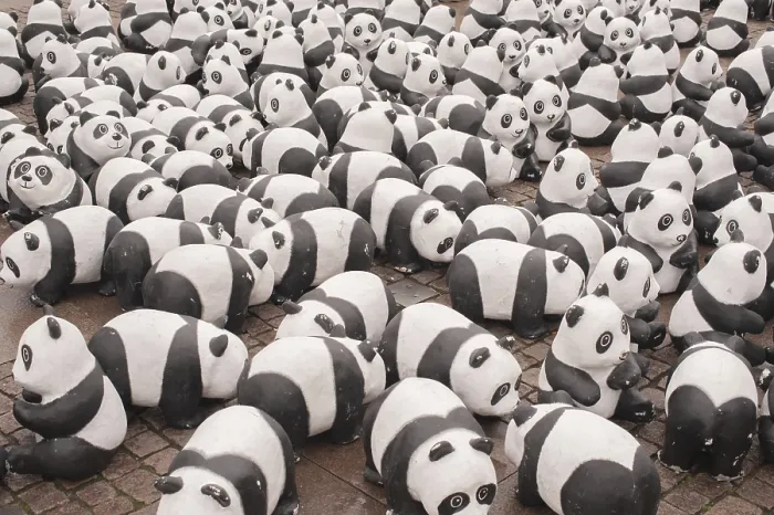 Stampa con cornice : Orso panda Stampa con cornice : Orso panda