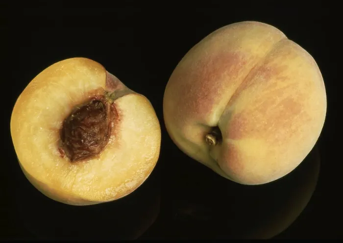 Stampa con cornice : Peaches