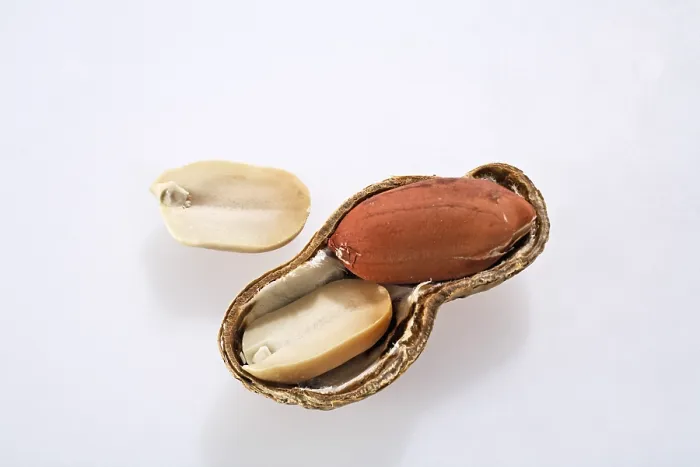 Stampa con cornice : Peanut Stampa con cornice : Peanut