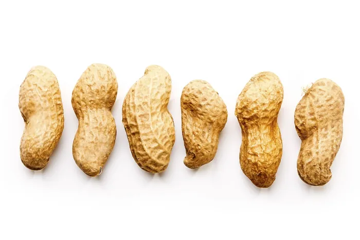 Stampa con cornice : Peanuts Stampa con cornice : Peanuts