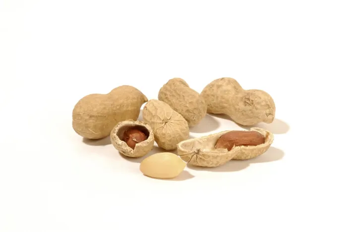 Stampa con cornice : Peanuts Stampa con cornice : Peanuts
