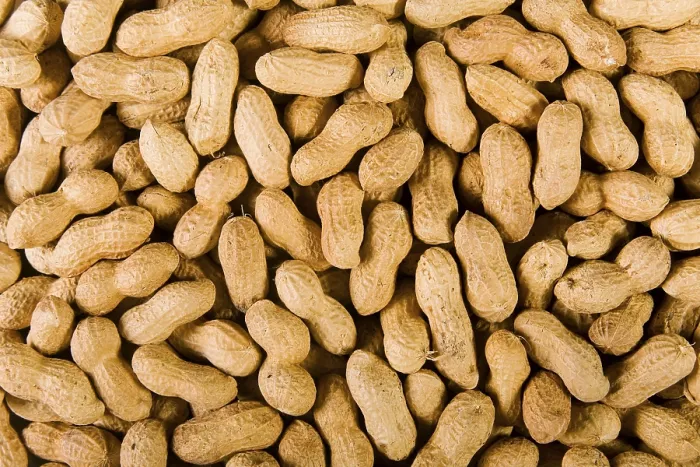 Stampa con cornice : Peanuts Stampa con cornice : Peanuts
