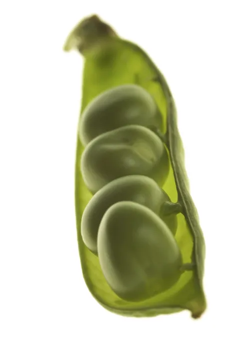 Stampa con cornice : Peas Stampa con cornice : Peas