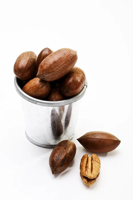 Stampa con cornice : Pecans Stampa con cornice : Pecans