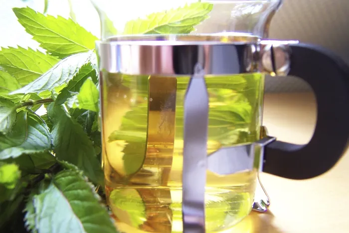 Stampa con cornice : Tè di menta peperata Stampa con cornice : Tè di menta peperata