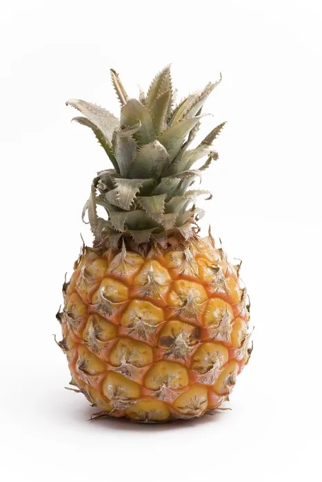 Stampa con cornice : Pineapple Stampa con cornice : Pineapple