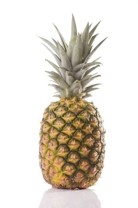 Stampa con cornice : Pineapple Stampa con cornice : Pineapple