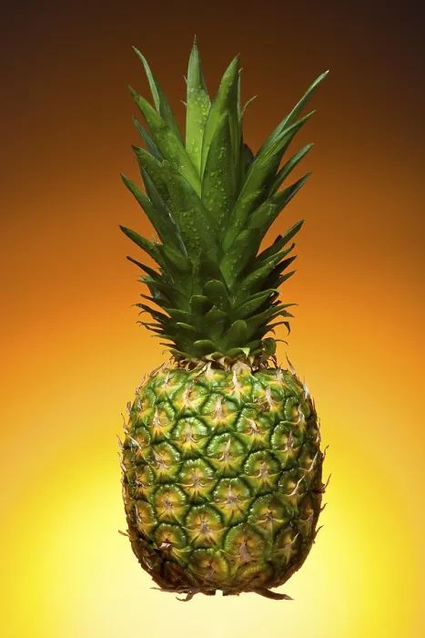 Stampa con cornice : Pineapple Stampa con cornice : Pineapple