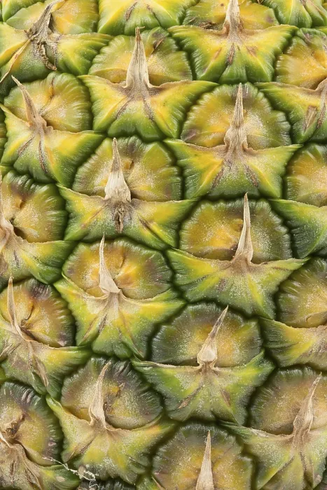 Stampa con cornice : Pineapple come sfondo. Stampa con cornice : Pineapple come sfondo.