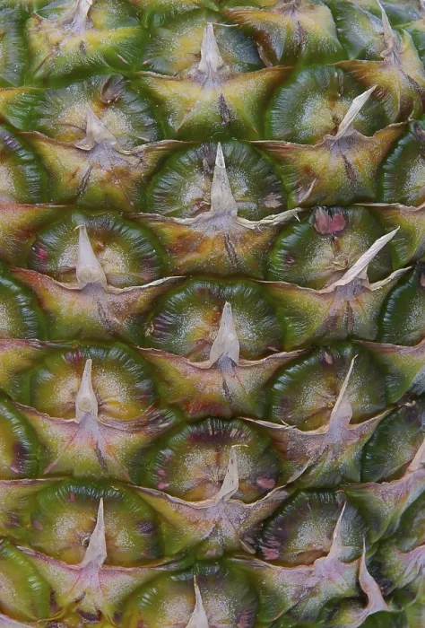 Stampa con cornice : Ananas, ananas. Stampa con cornice : Ananas, ananas.