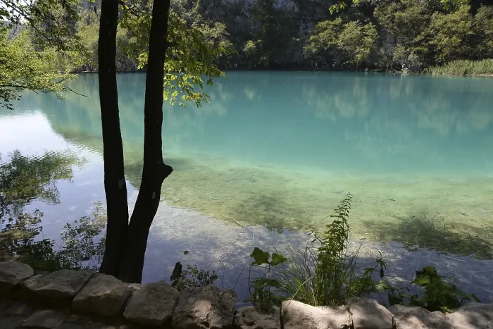 Stampa con cornice : Laghi di Plitvice