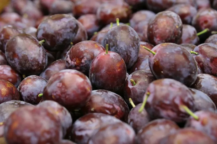 Stampa con cornice : Plum