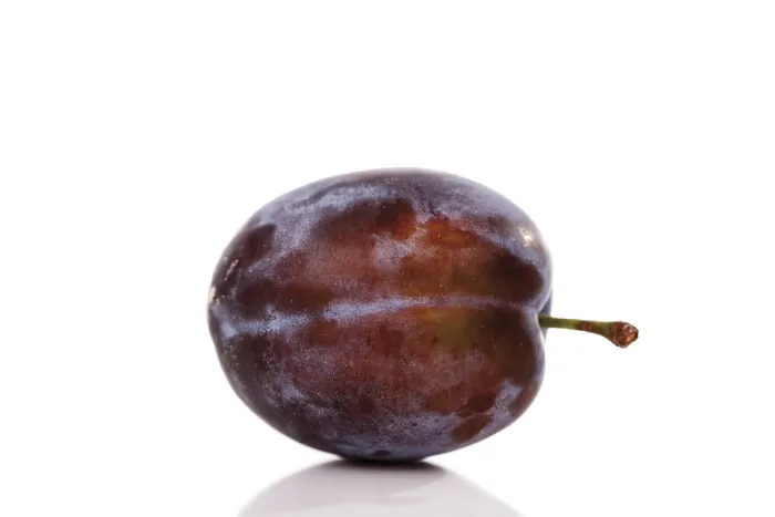 Stampa con cornice : Plum