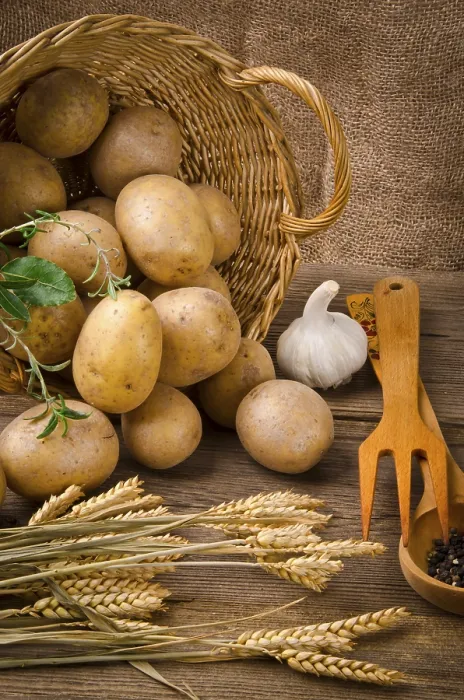 Stampa con cornice : Potato Stampa con cornice : Potato
