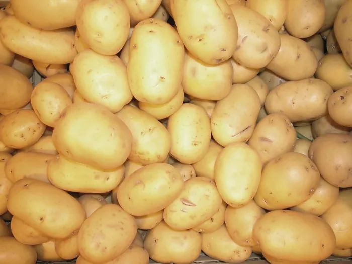Stampa con cornice : Potatoes Stampa con cornice : Potatoes
