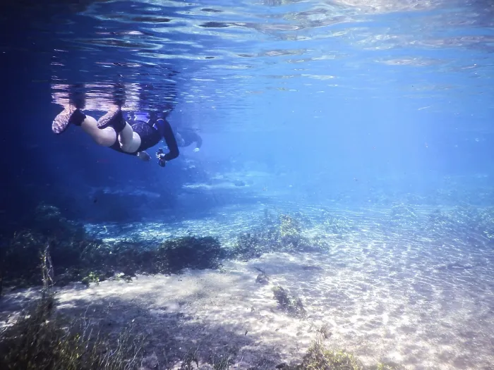 Stampa con cornice : Praticare il subacqueo e lo snorkeling. Stampa con cornice : Praticare il subacqueo e lo snorkeling.