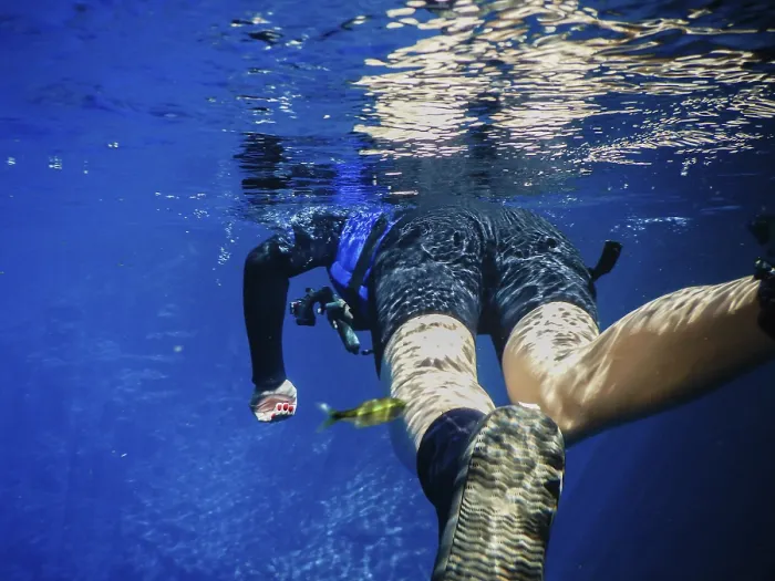 Stampa con cornice : Praticare il subacqueo e lo snorkeling. Stampa con cornice : Praticare il subacqueo e lo snorkeling.