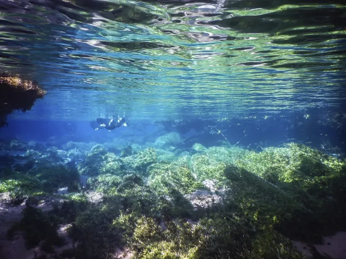 Stampa con cornice : Praticare il subacqueo e lo snorkeling.