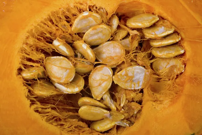 Stampa con cornice : Pumpkin