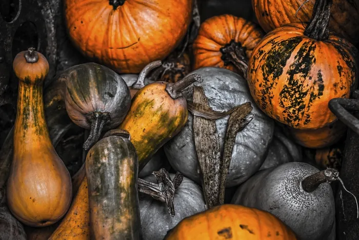 Stampa con cornice : Pumpkins Stampa con cornice : Pumpkins