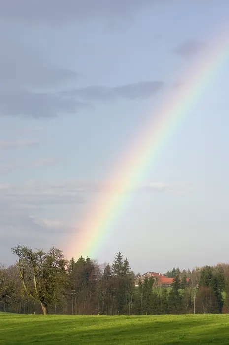 Stampa con cornice : Arcobaleno in primavera nell'Alta Baviera. Stampa con cornice : Arcobaleno in primavera nell'Alta Baviera.