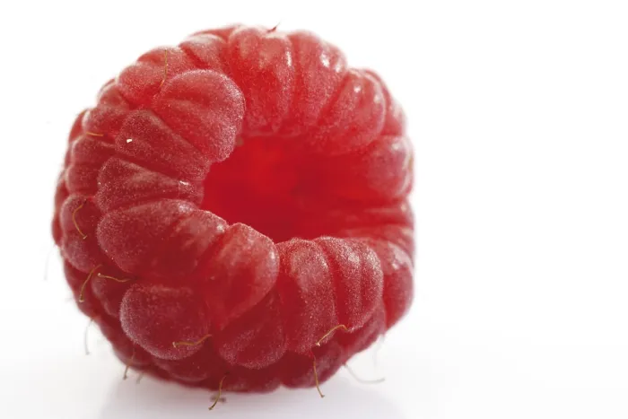 Stampa con cornice : Raspberry Stampa con cornice : Raspberry