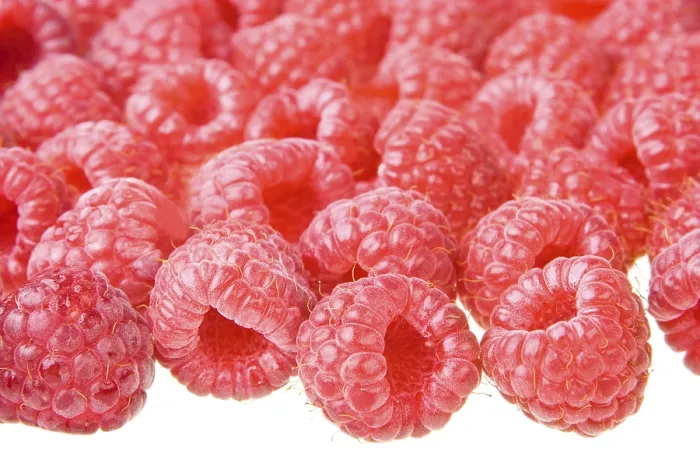 Stampa con cornice : Raspberry Stampa con cornice : Raspberry