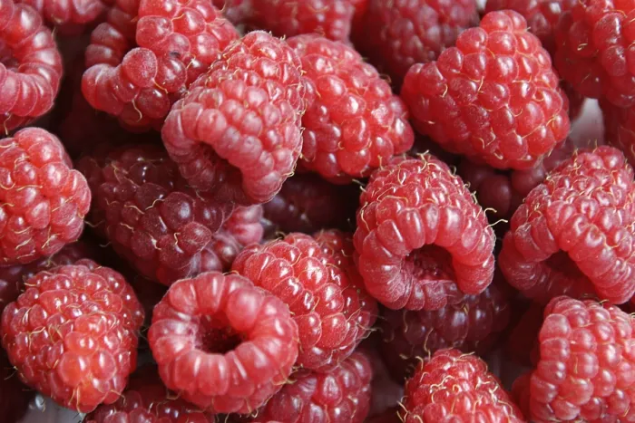 Stampa con cornice : Raspberrys Stampa con cornice : Raspberrys