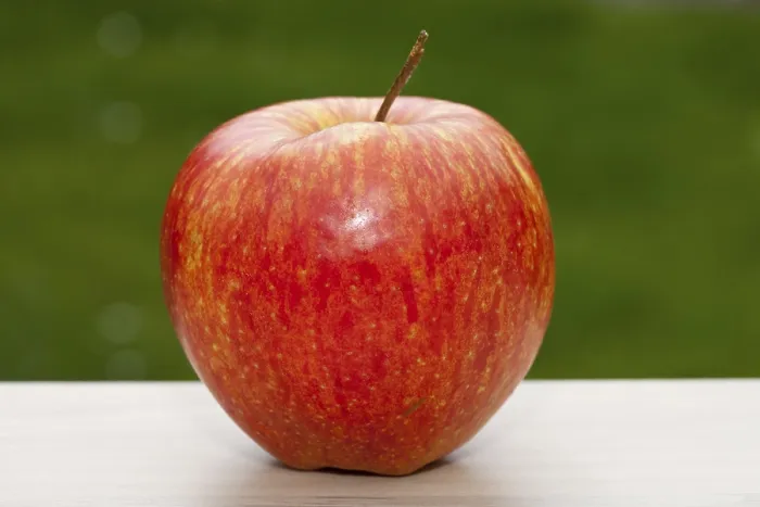 Stampa con cornice : Mezzo rosso mele. Stampa con cornice : Mezzo rosso mele.