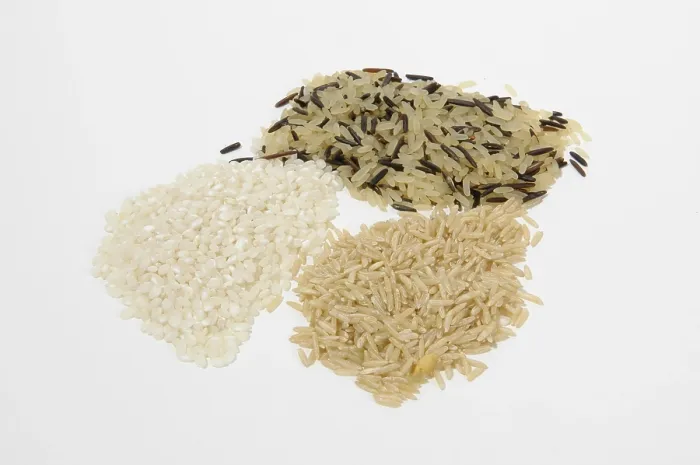 Stampa con cornice : Rice Stampa con cornice : Rice