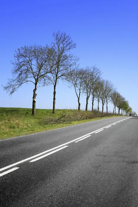 Stampa con cornice : Road Stampa con cornice : Road