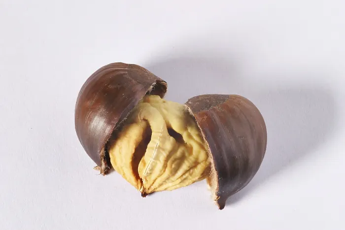 Stampa con cornice : Castagne arrosto. Stampa con cornice : Castagne arrosto.
