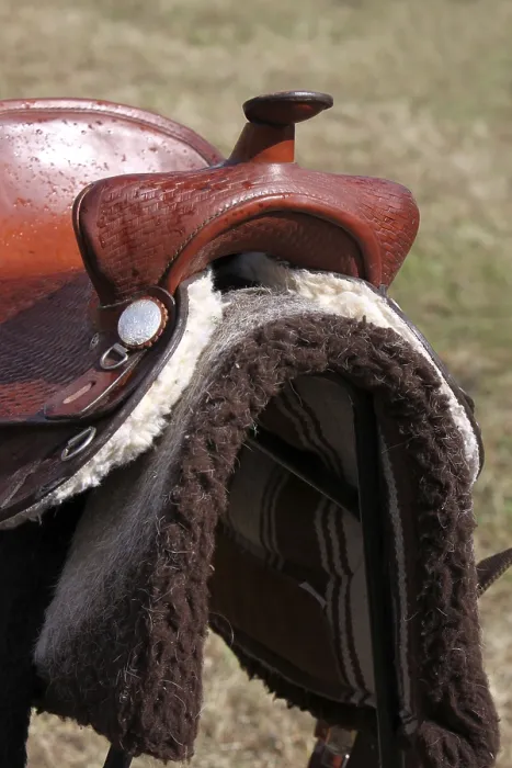 Stampa con cornice : Saddle Stampa con cornice : Saddle