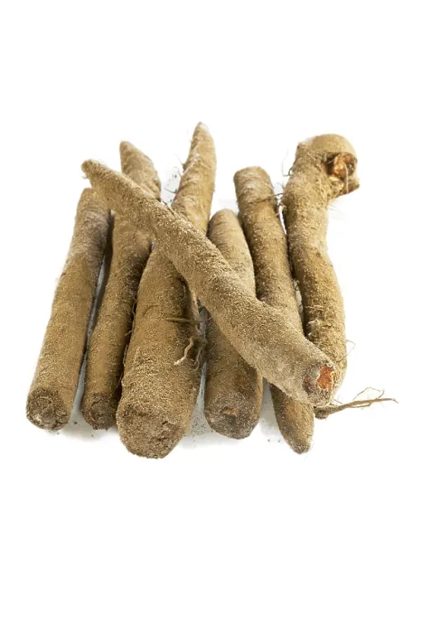 Stampa con cornice : Salsify