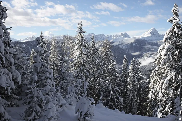 Stampa con cornice : Ombra - Luce. Stampa con cornice : Ombra - Luce.
