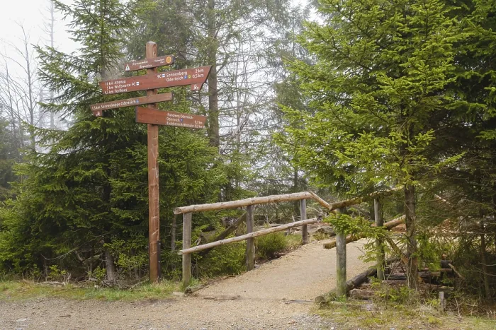 Stampa con cornice : Segnavia presso l'Oderteich, Nebel, Parco Nazionale del Harz, Bassa Sassonia, Germania Stampa con cornice : Segnavia presso l'Oderteich, Nebel, Parco Nazionale del Harz, Bassa Sassonia, Germania