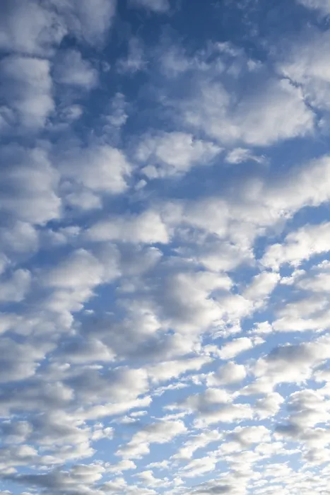 Stampa con cornice : Cielo con nuvolaggregati cirrocumuliformi, nuvole lanuginose.