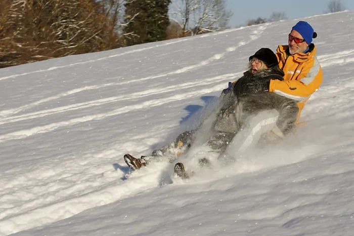 Stampa con cornice : Sledding