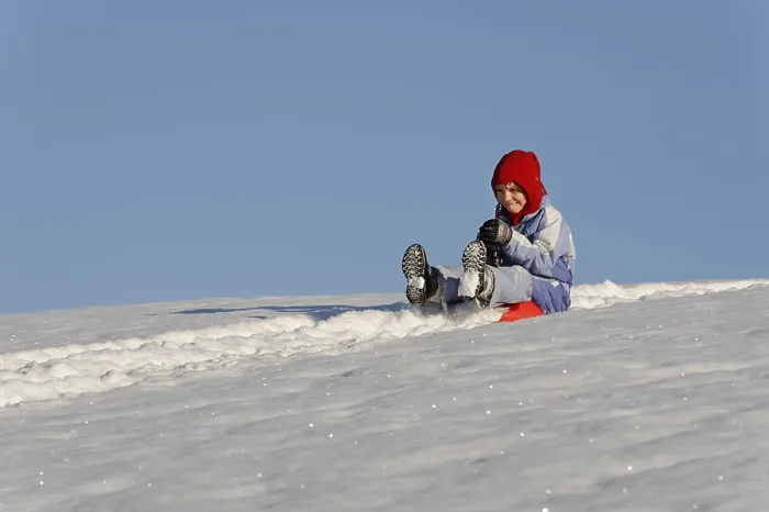 Stampa con cornice : Sledding